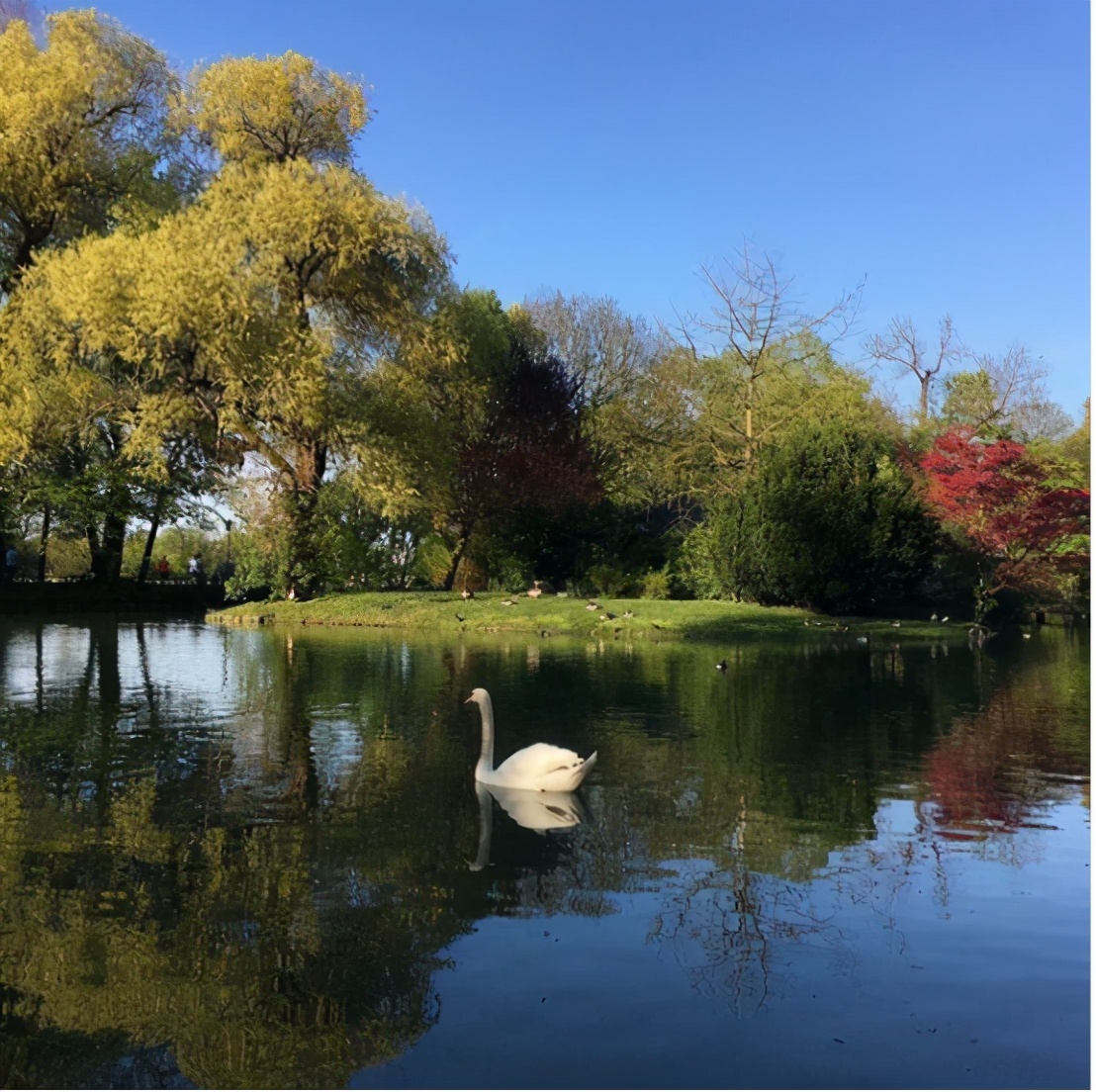 让皮肤变好的五个0成本方法,如何花最少的钱把皮肤养好