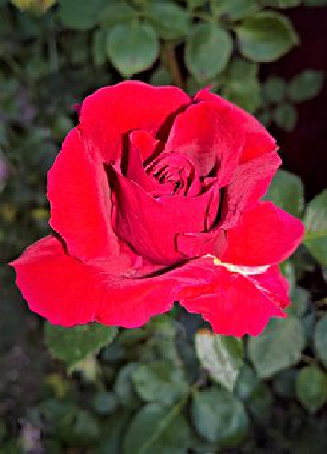 令人感悟很深的短语,道理讲得很透彻的句子