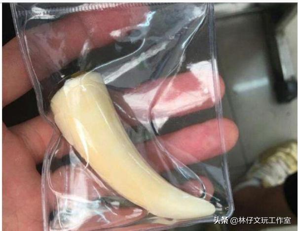 这三种文玩千万别碰,这几种文玩已经跌落神坛