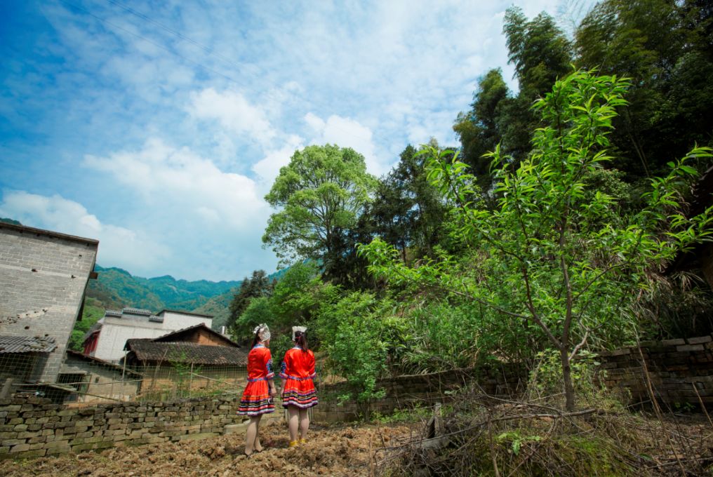 咸宁古镇古村有哪些,崇阳十处绝美古村落