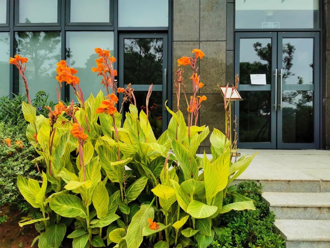 全国第一!华中农业大学真是太太太牛了