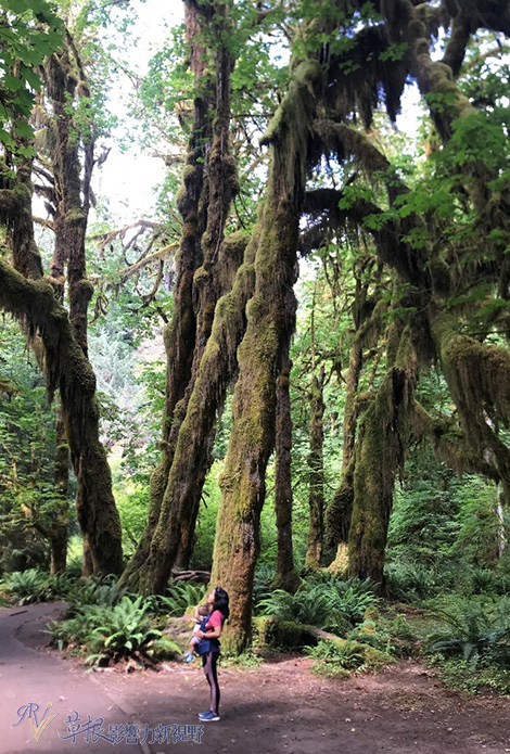 怎么带两岁小孩旅游,适合带3岁小孩去旅行