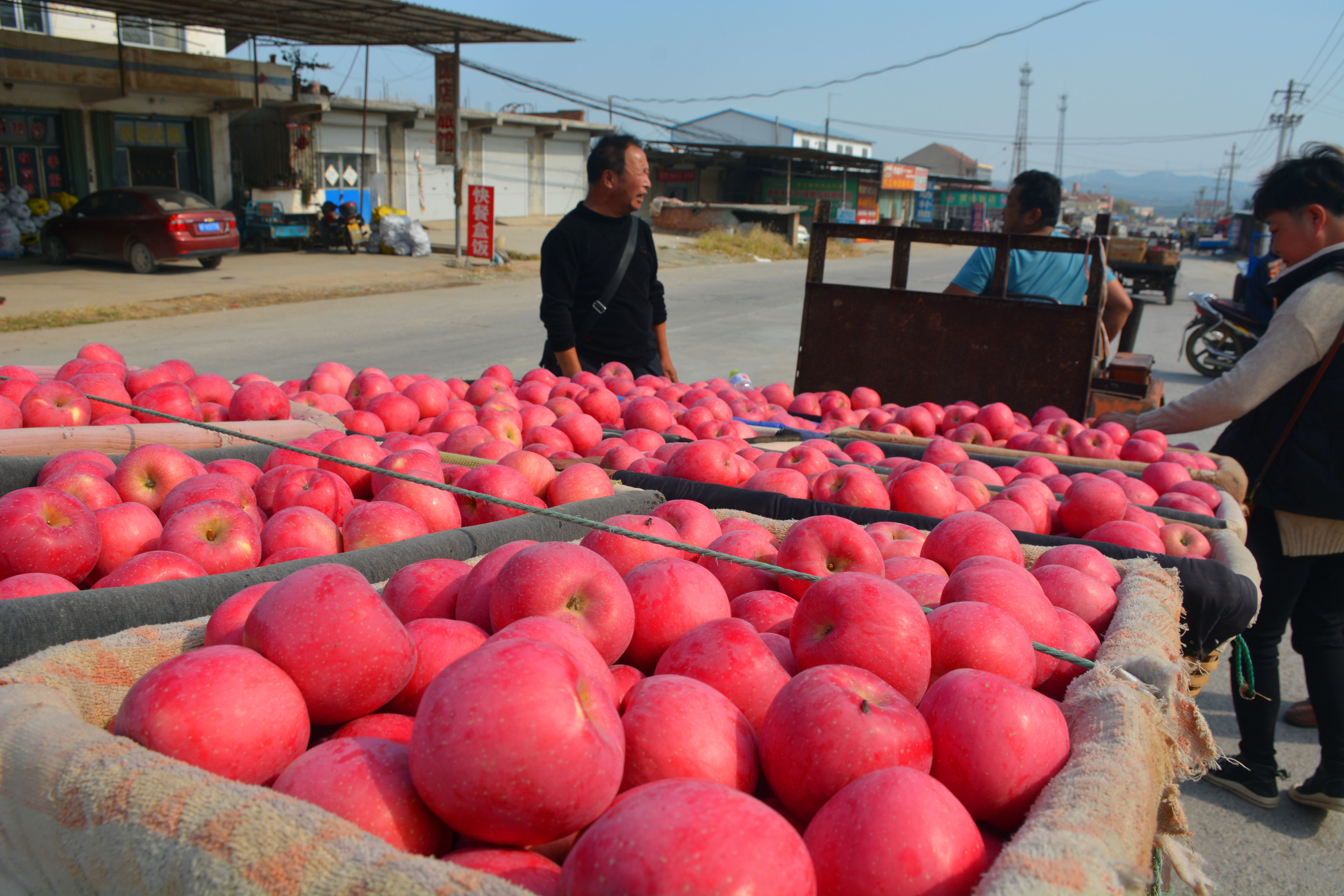 烟台苹果价格分析表,烟台蓬莱苹果价格表