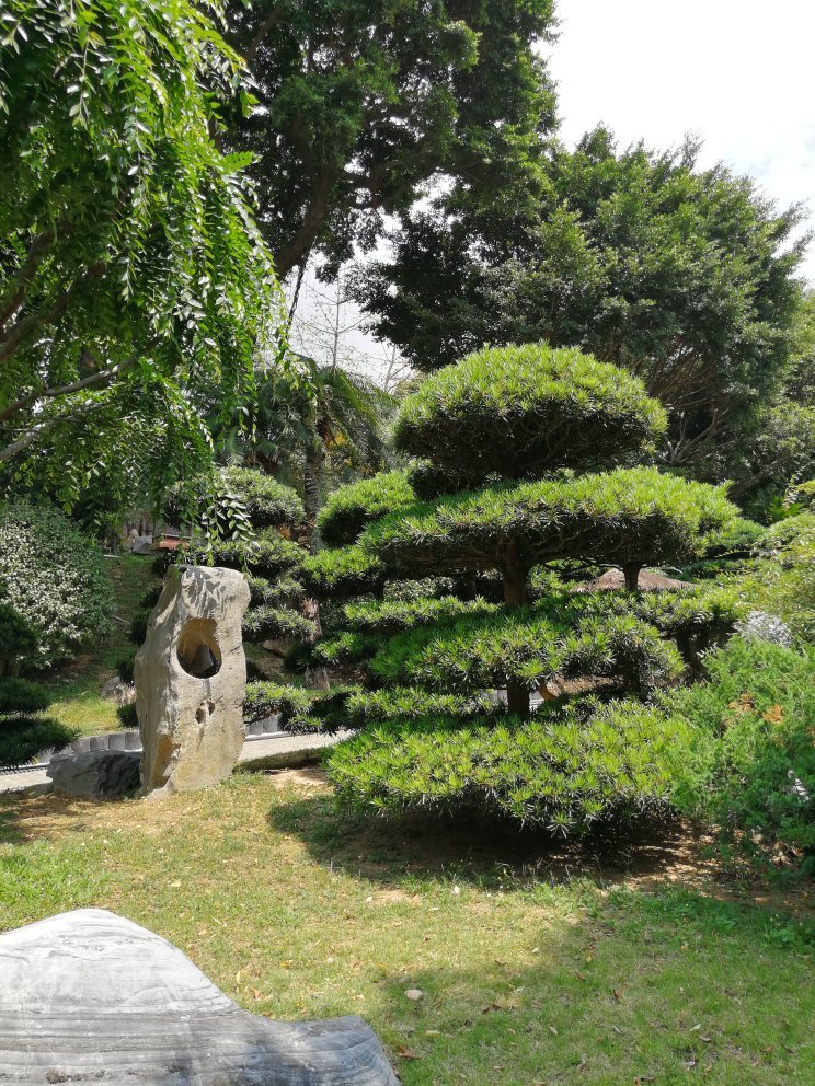 香港志莲净苑地图,香港志莲净苑好玩吗