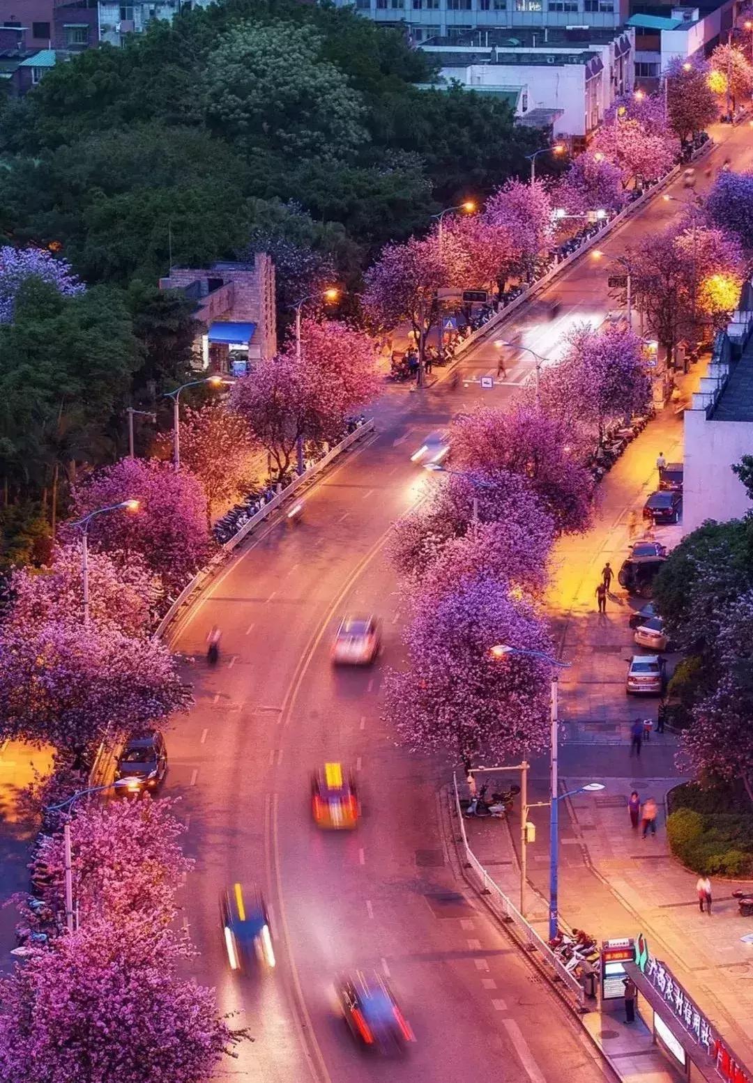 广西最想去的地方,广西最想去的8个地方