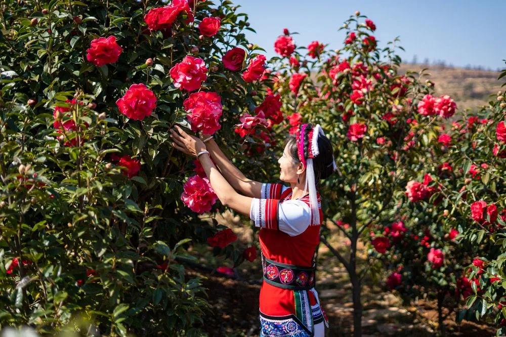 瞧!这花花世界谁不爱