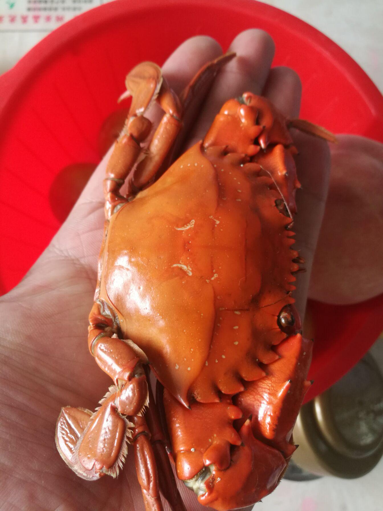 最新潍坊北海赶海抓螃蟹最佳位置,潍坊北海抓螃蟹