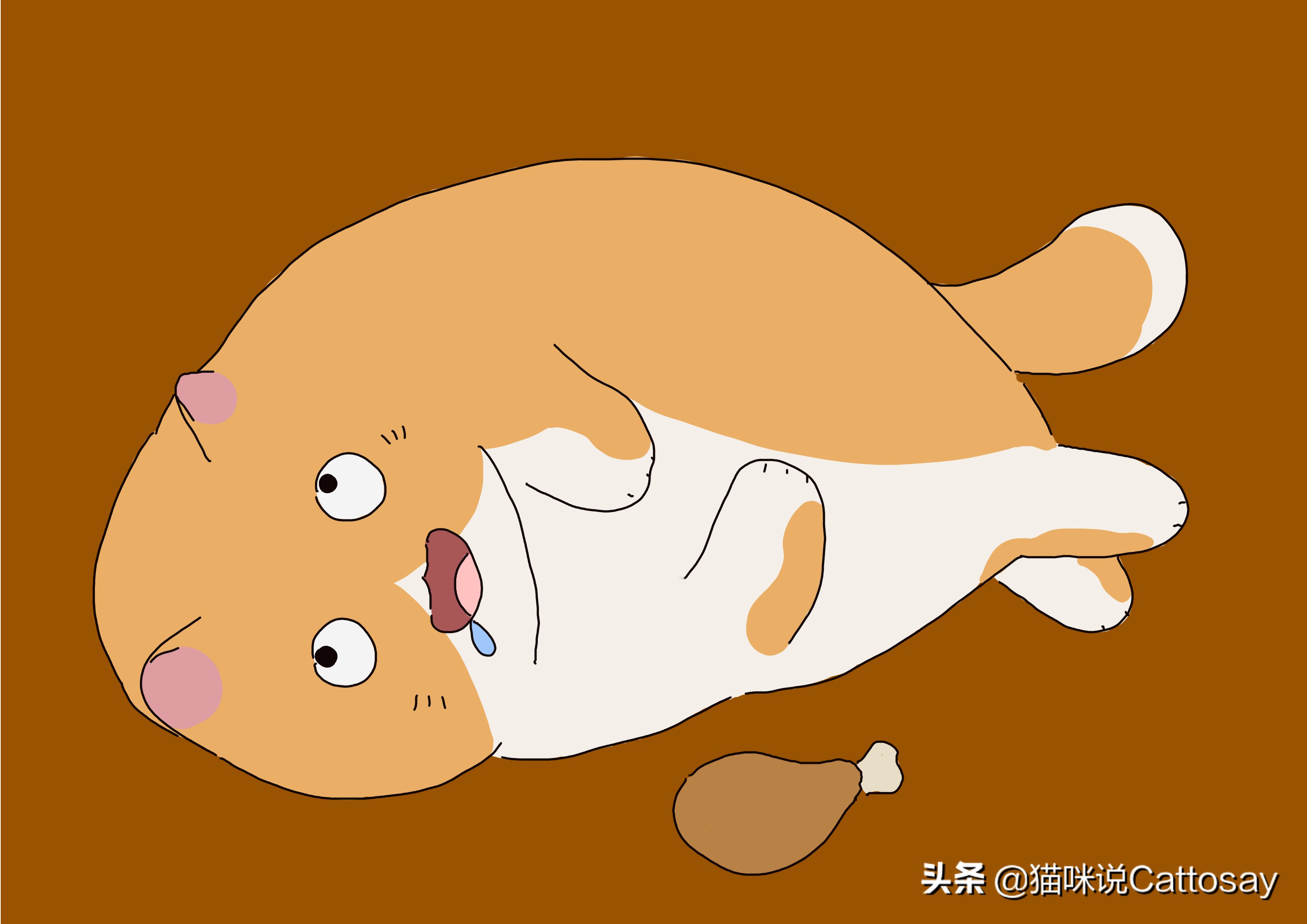 喂猫三种错误方式,三种喂养方式