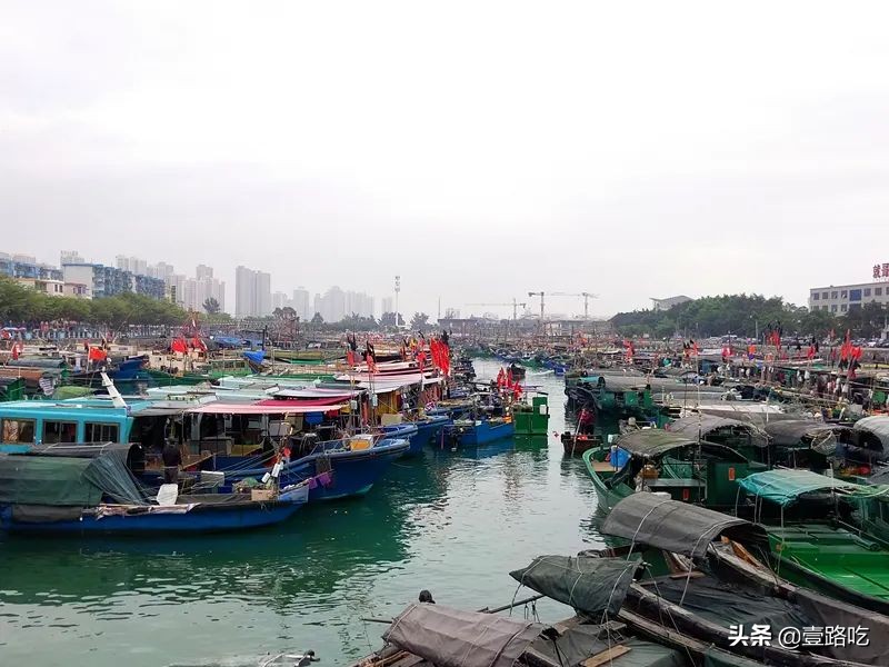 北海|报告!没遇到传销组织,只有吃不尽的海鲜美食