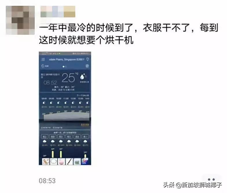 新加坡冻成狗,新加坡狂风暴雨来袭