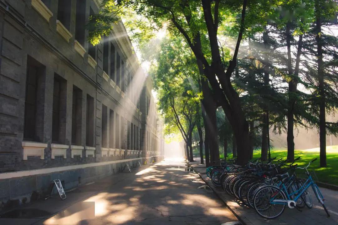 九大美院校园风景,中国九大美院校园风采