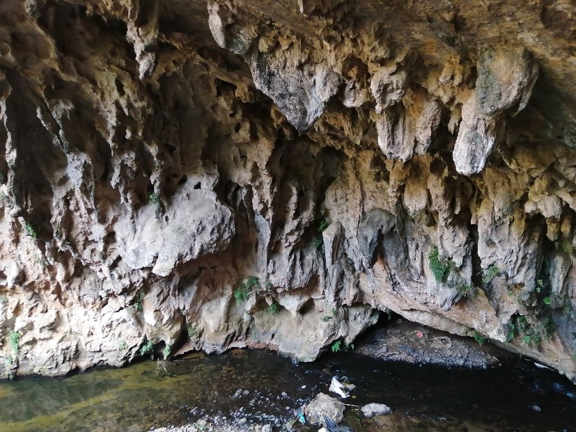 徐霞客游记完整视频,徐霞客游黄山后记全文