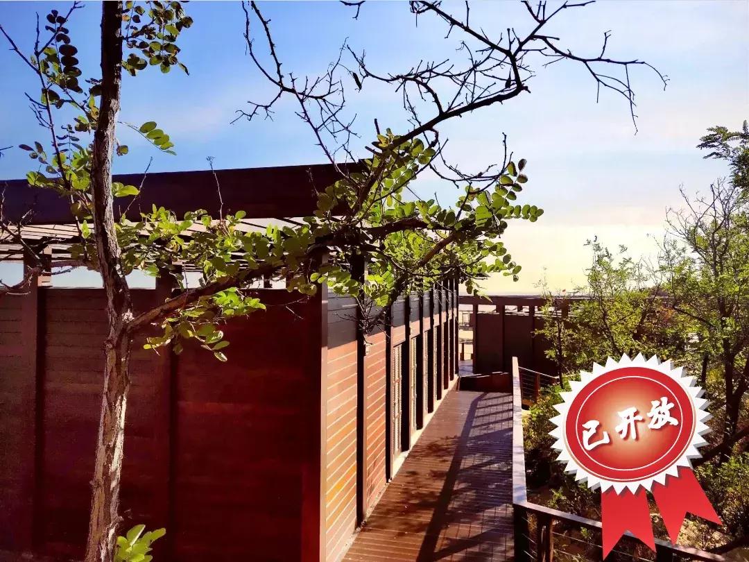 沙雕海洋乐园和渔岛哪个更值得去,沙雕海洋乐园视频