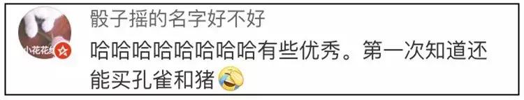 双11购物狂冠军视频,双11购物荒冠军排名