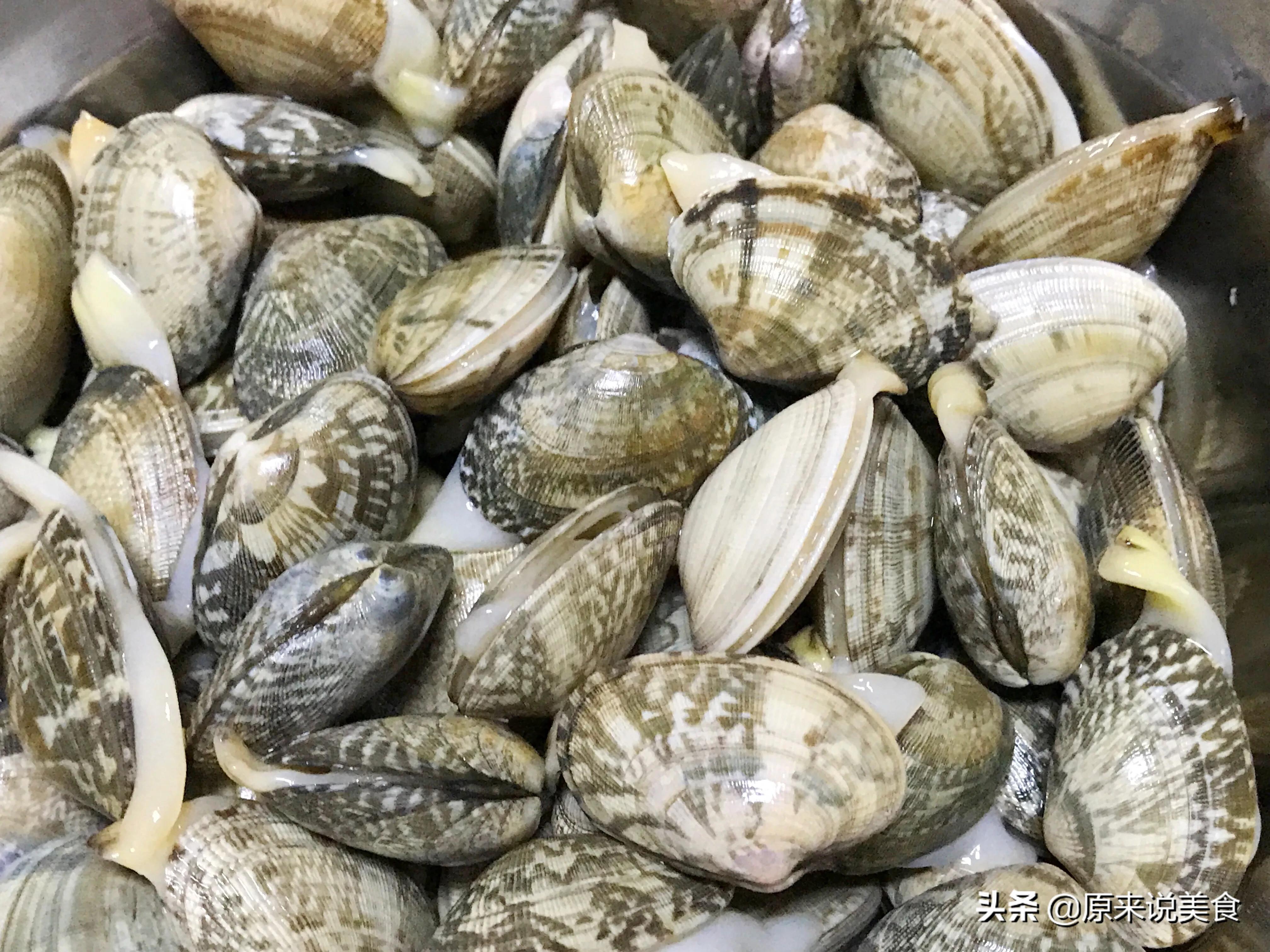蛤蜊冬瓜汤做法蛤蜊要焯水吗,蛤蜊焯水是冷水下锅还是热水下锅