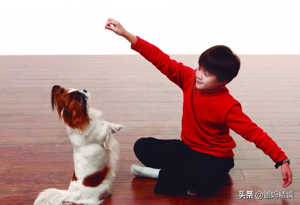 有主见的孩子如何培养,父母怎样培养一个积极向上的孩子