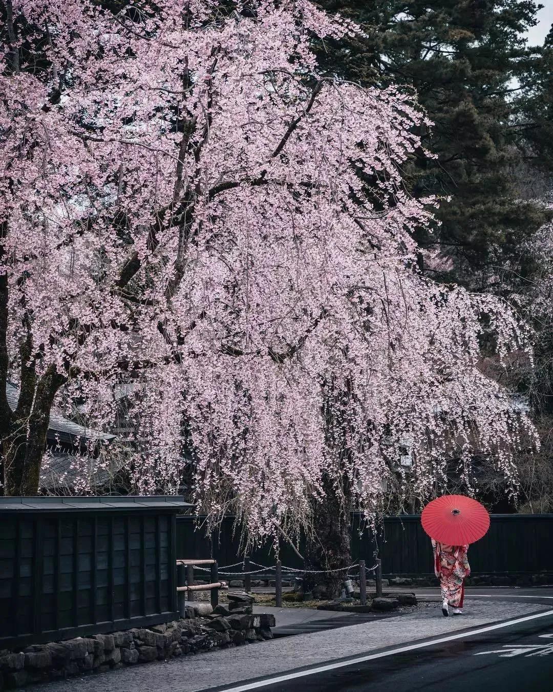 中国至今没被认全的20个邻居，个个身怀宝藏，你知道几个？