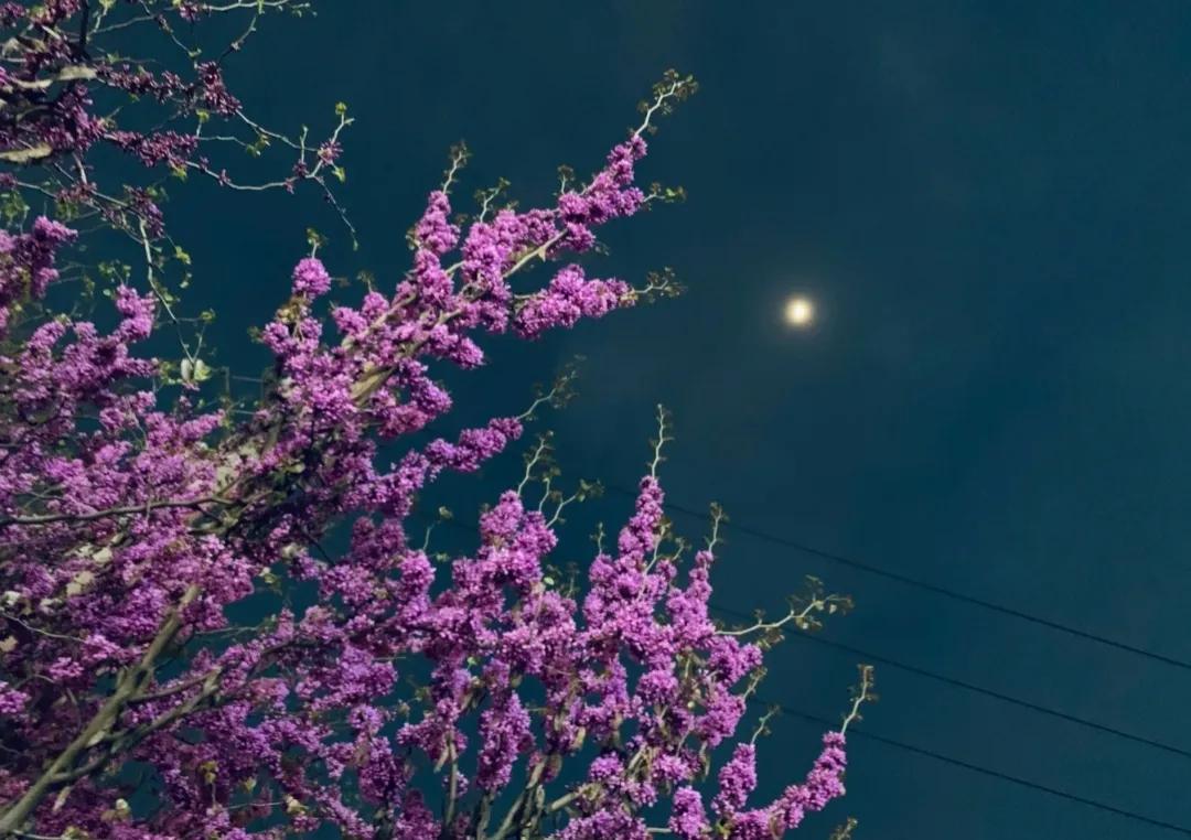 妻子这样做对吗,妻子这样做你觉得对吗