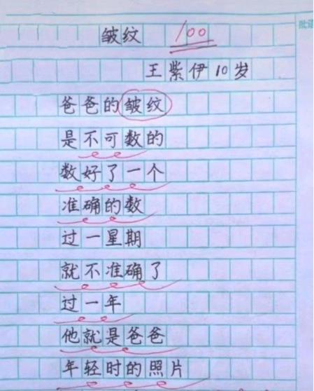 8篇800字作文初中,小学万能作文范文全篇