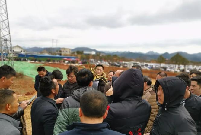 惠水第29届兰博会兰花获奖图片,惠水国际兰花展