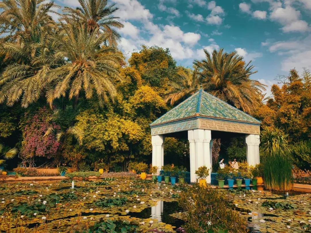 在摩洛哥皇宫，穿拖鞋看秀，是什么体验？