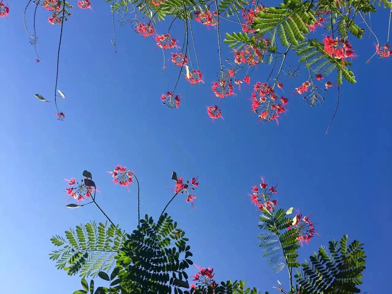 越南美奈风土人情,越南美奈值得去么