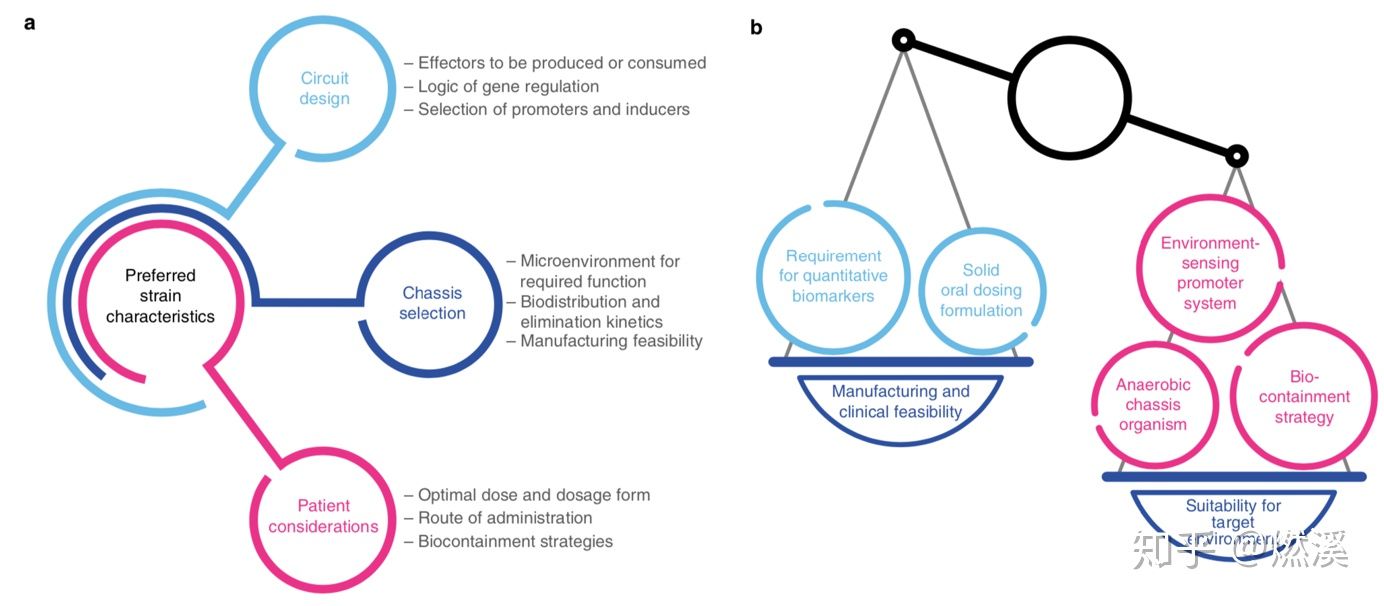 产生电的细菌丨工程微生物“合作者”丨微生物治疗疾病