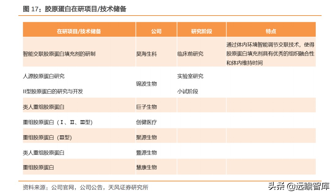 重组胶原蛋白未来趋势,胶原蛋白重组是高端产业吗