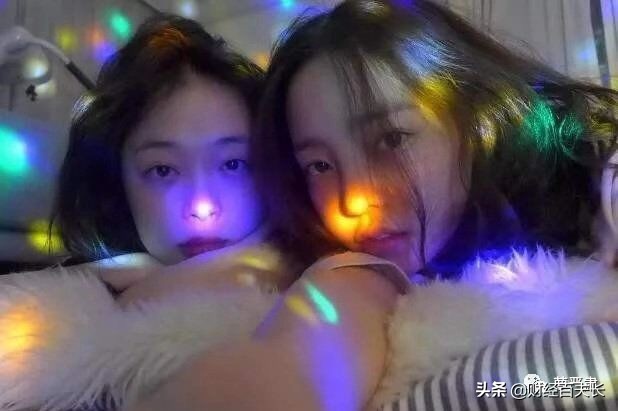 我的生命不是你的色情片