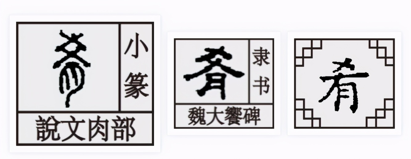 肉字家族：肉有肴淆崤，骨肉相连，古人造字就把这种亲情埋进文字