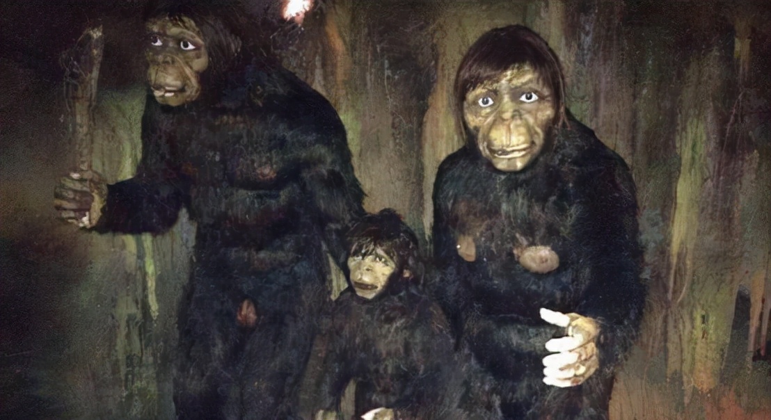 倒脚仙的真实照片,倒脚仙的真实身份