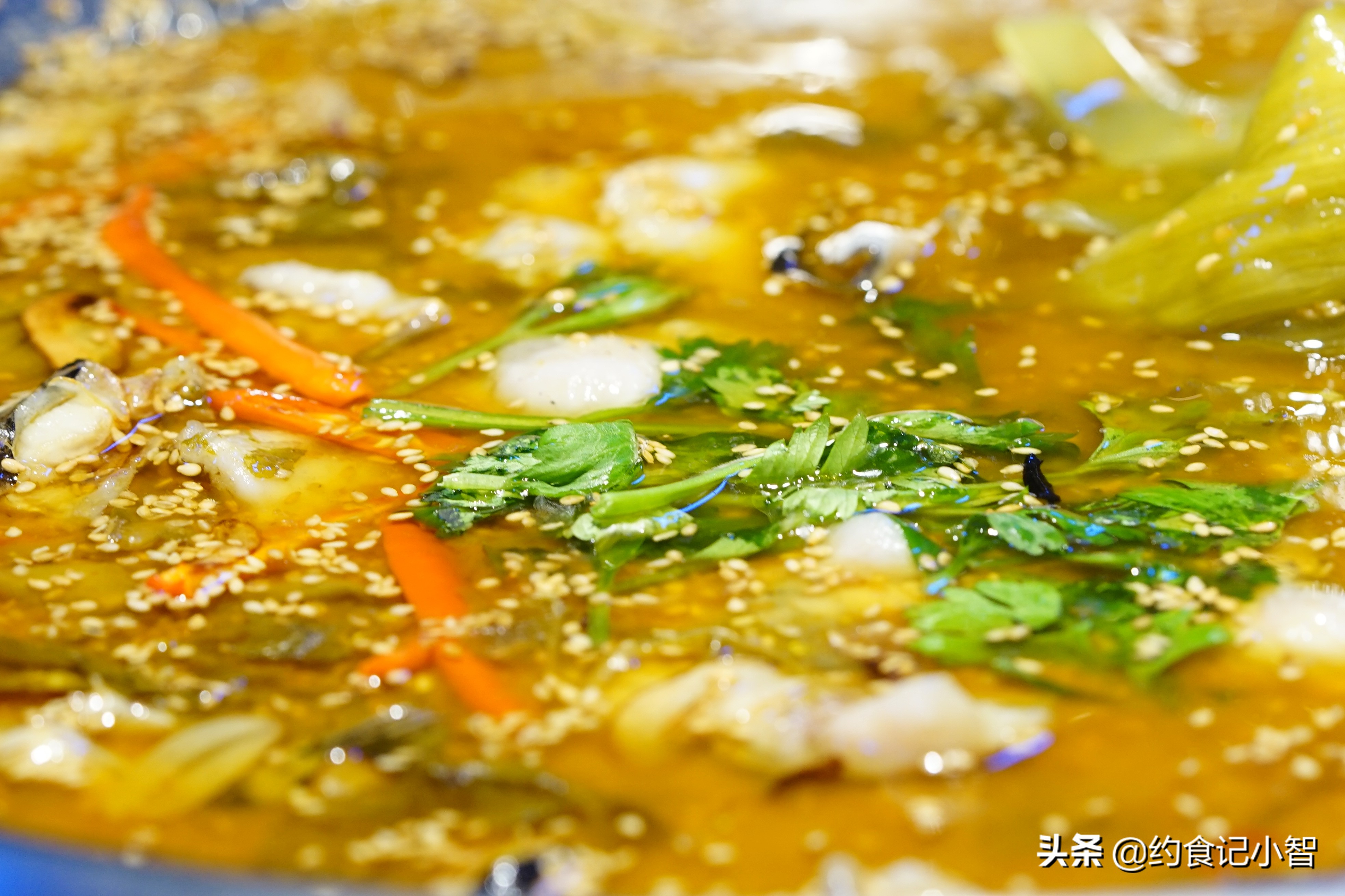 乌鲁木齐辣椒麻鱼火锅,乌鲁木齐椒麻鱼哪家好