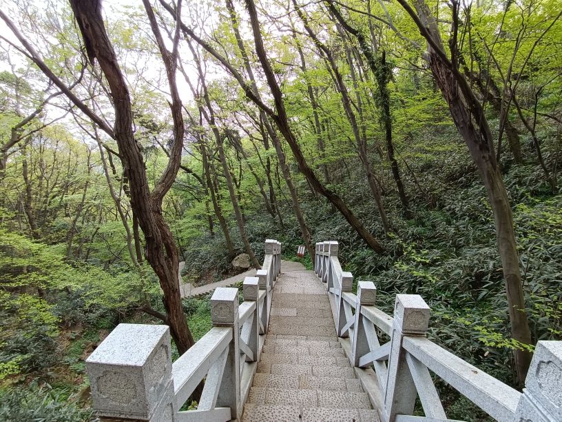 苏州第一高峰穹窿山,苏州最高的山穹窿在哪里