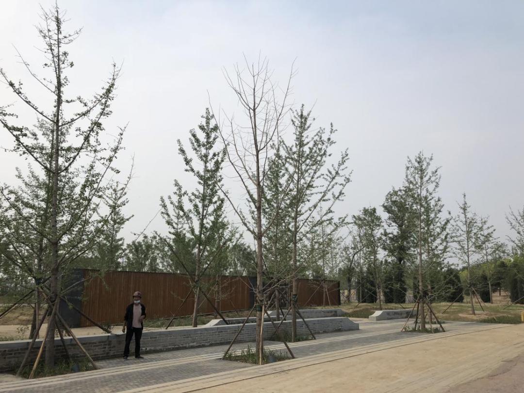 疫情过后园林企业生存现状如何?来看看这位项目经理的一天