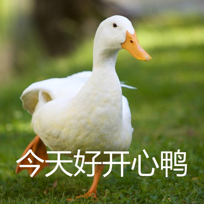 k线是kdj吗,k线是lin线吗