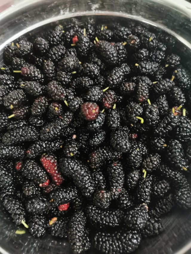 桑葚膏如何做才能保存长时间,桑葚怎么吃才有美容养颜的功效