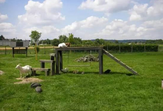 有机农业到底该怎么做呢,有机农业的困境和出路