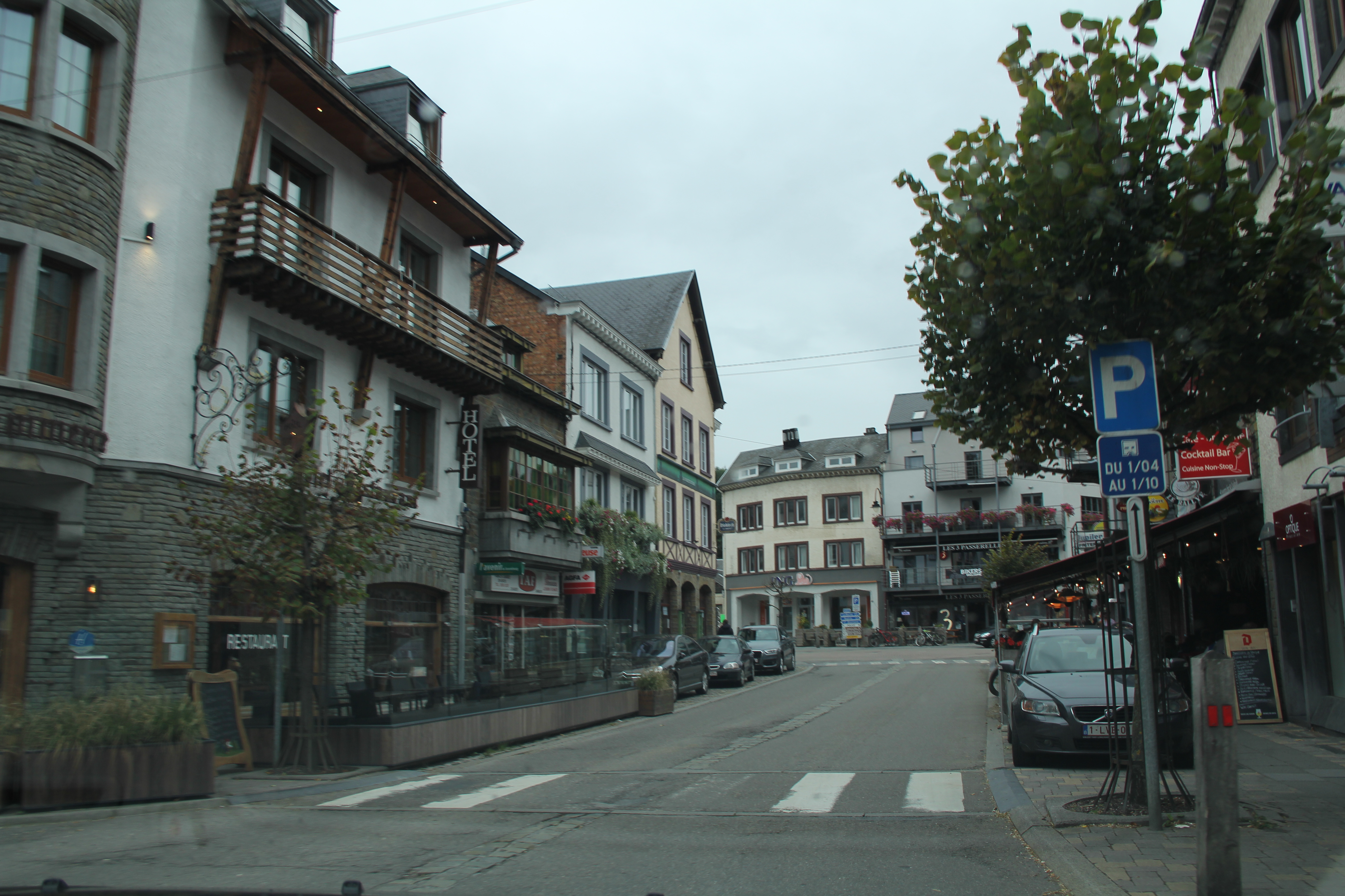 欧鳊如何钓,欧鳊怎么钓