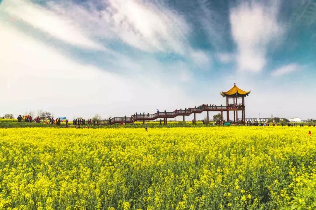 荆门哪个省的,荆门是哪儿