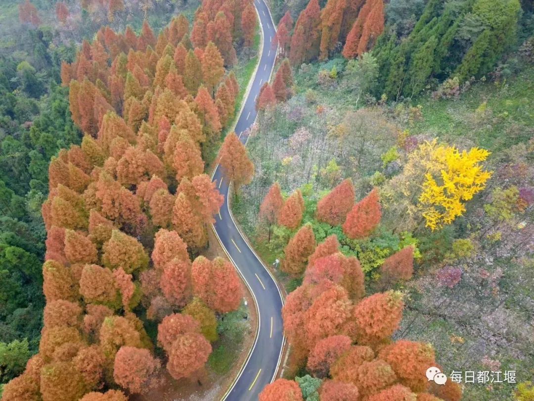 赵公山大熊猫国家生态公园,赵公山大熊猫生态公园