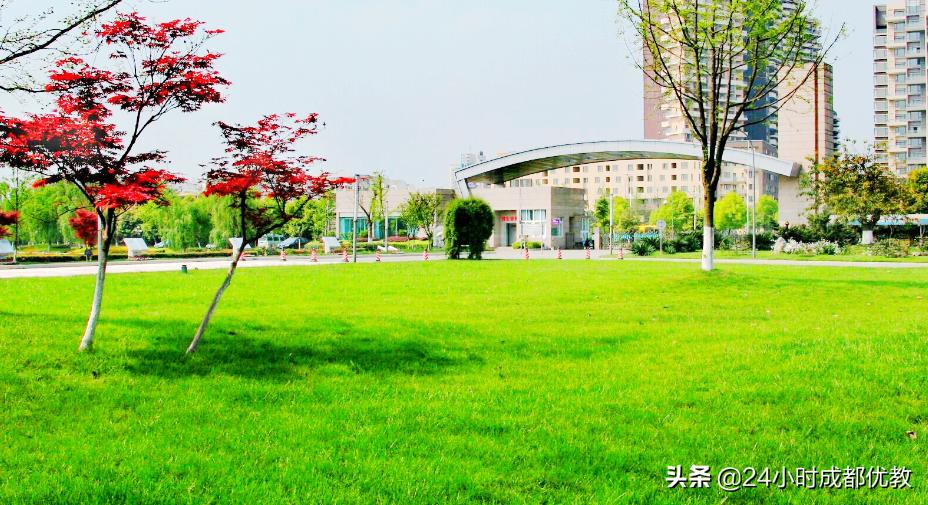 涓冧腑瀹為獙,涓冧腑瀹為獙瀛﹂