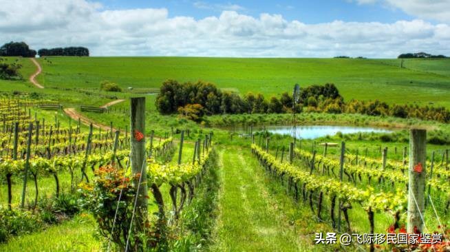 移民澳大利亚的办法,移民澳大利亚的方法有哪些