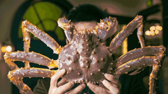 最好吃的海鲜都有哪些,顶级进口海鲜排行榜