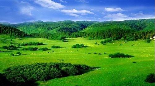 重庆夏天最好的避暑胜地有哪些,重庆适合避暑的地方有哪些