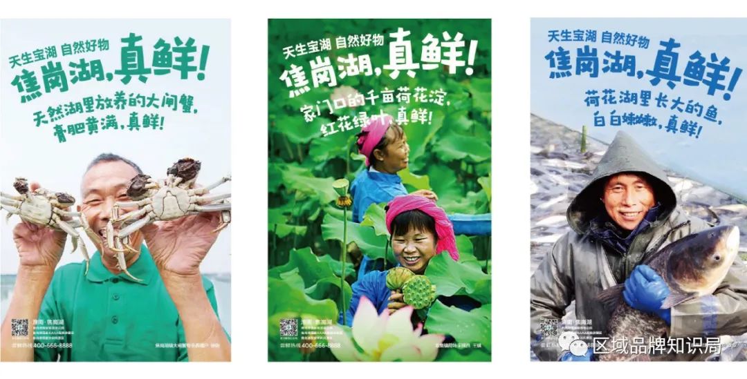 焦岗湖区生态发展共同体——区域公共品牌