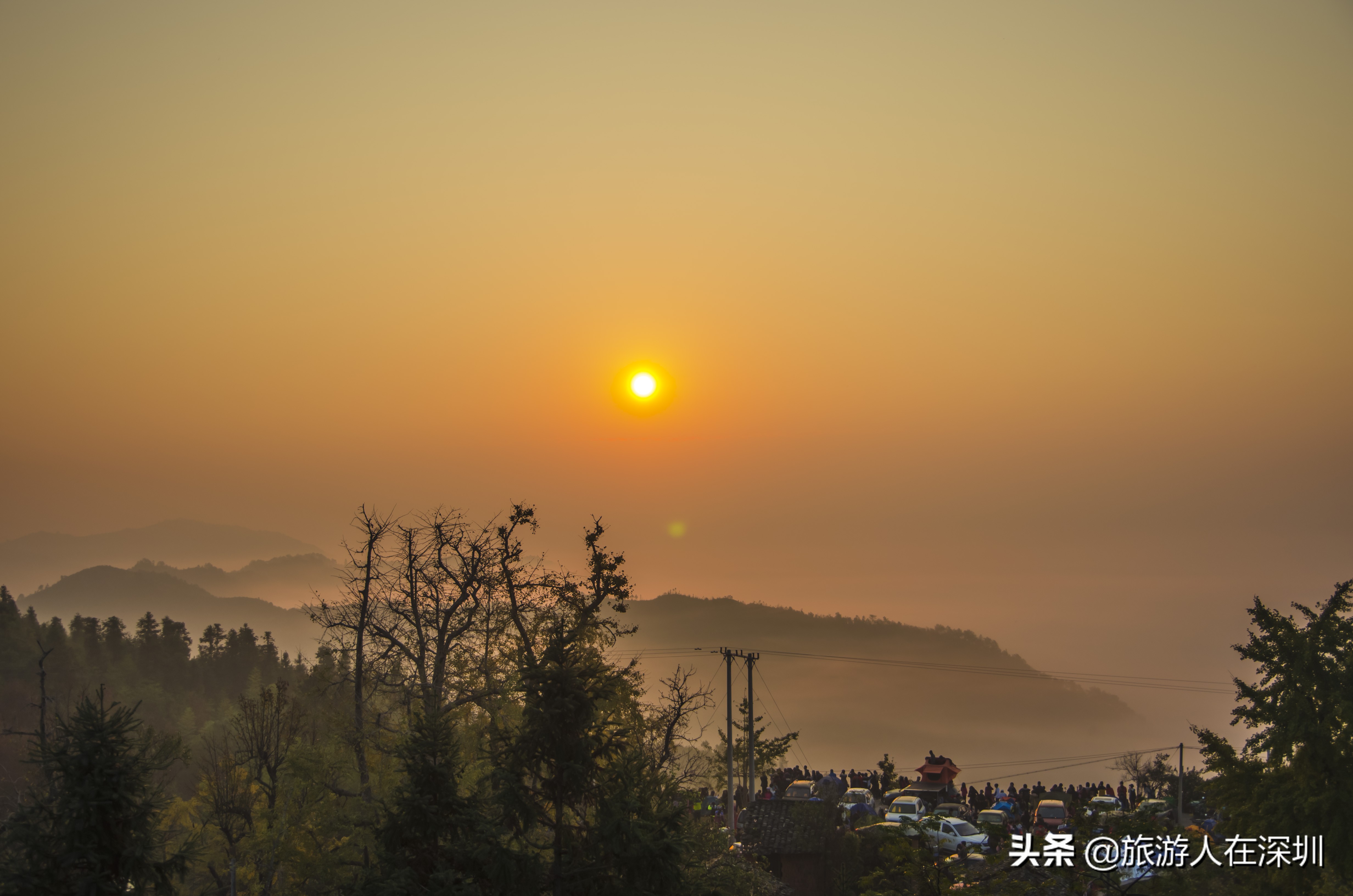 南雄看银杏一日游,去南雄看银杏叶哪里好看点