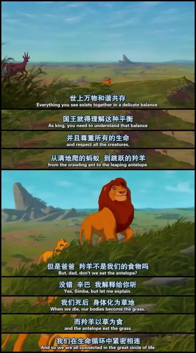 为什么每个人都要看一遍狮子王,狮子王主要告诉我们什么道理呢