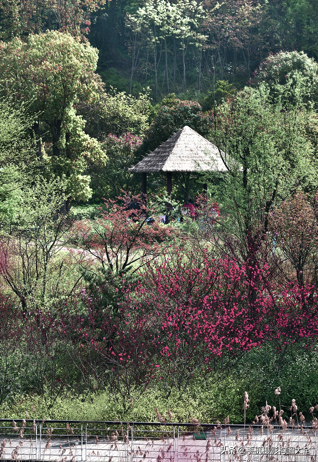 拍出好照片的简单摄影技巧,专业摄影技巧如何拍摄出精美照片