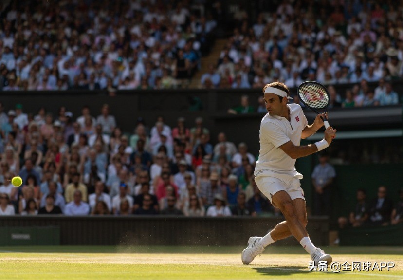 温网草地要求,温网草地怎么不全是绿的