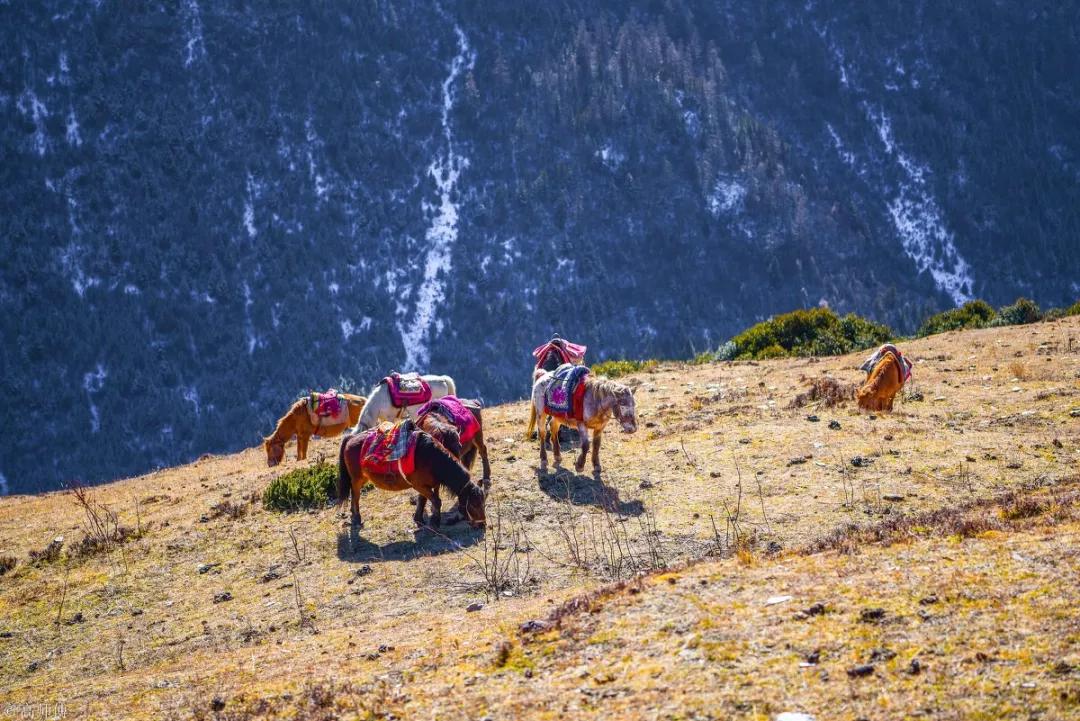 春节游玩打卡攻略,新年旅游攻略全国